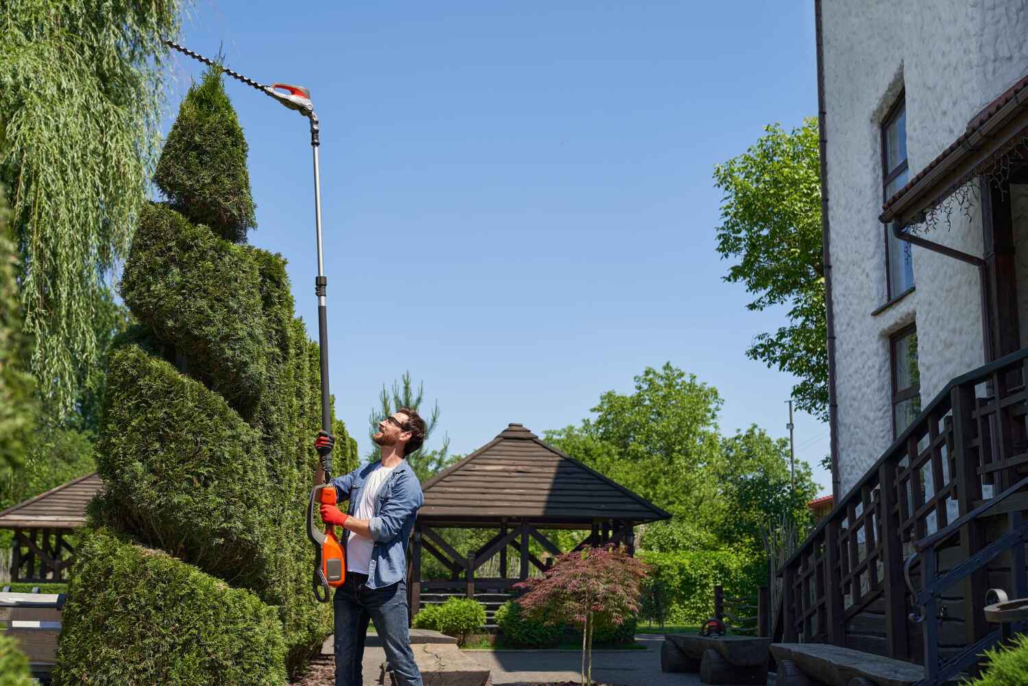 Best Tree Cutting Near Me  in Indian Springs, GA